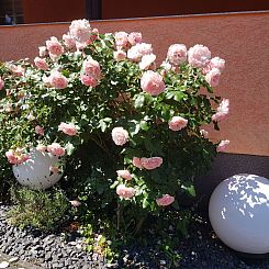 Appartement Waldperle