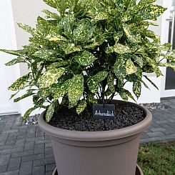 Appartement Ostseehaus am Naturstand - Arkonablick