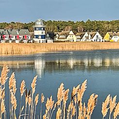 Vakantiehuis Deichhaus  Düne