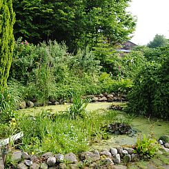 Appartement Schule 7