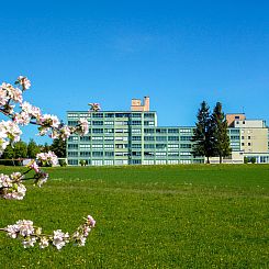 Appartement Sonnenschein (B 110)