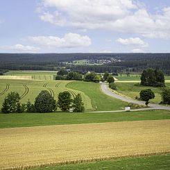 Appartement Schönblick (F 55)