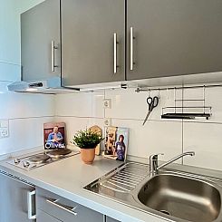 Appartement Wald und Wiese (B 94)