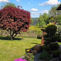Appartement Schwarzwaldglück