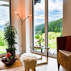 Appartement FeWo mit Whirlpool und Infrarotsauna