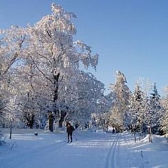 Appartement mit Terrasse
