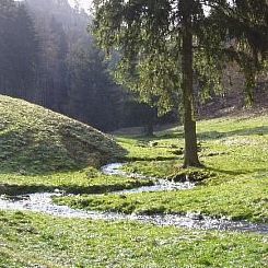 Appartement mit Terrasse