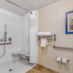 Hampton Inn & Suites Detroit/Airport Romulus
