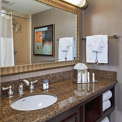DoubleTree by Hilton Dallas Market Center