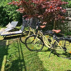 Appartement Kraxler Single