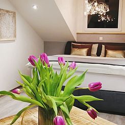 Appartement Wellness-Loft Asia Style