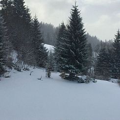 Appartement in Frauenberg mit Garten