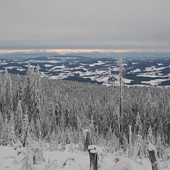 Appartement Birkenhain