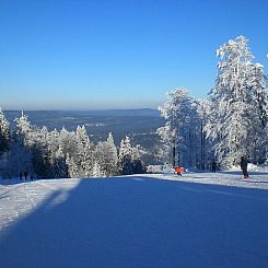 Appartement Birkenhain