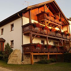 Appartement in Ludwigsreut mit Terrasse, Garten und Grill