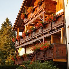 Appartement in Ludwigsreut mit Terrasse, Garten und Grill