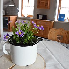 Appartement Gemütliche Ferienwohnung Seeblick