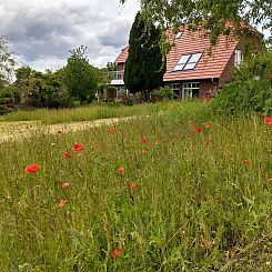 Appartement Schwalbennest