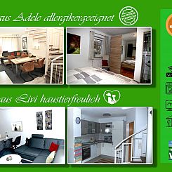 Vakantiehuis Livi