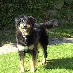 Vakantiehuis Schlossberg mit WLAN