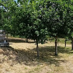 La Belle Vue, La Barrière, Durmignat