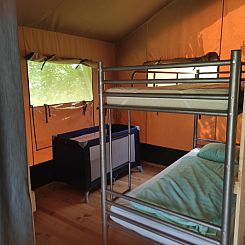 Safari Greenlodge