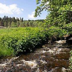Vakantiehuis in Saint Bonnet le Chastel