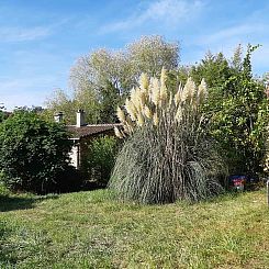 Vakantiehuis in Couleuvre