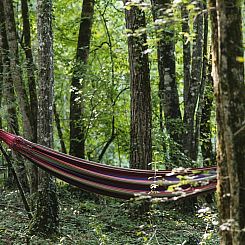 Huisje in Sougeres en Puisaye