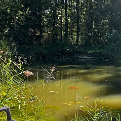 Huisje in Westmeerbeek