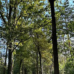 Huisje in Westmeerbeek
