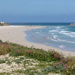 Vakantiehuis Petit Chalet à la Plage