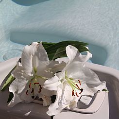 Vakantiehuis Villa du Port