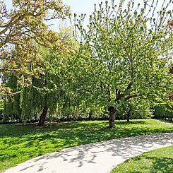 Vakantiehuis La Rodière