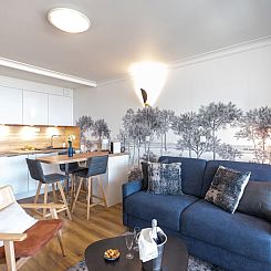 Appartement Le Britannia