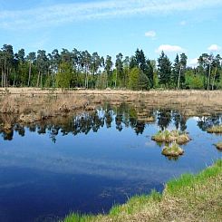 O'Hara Lodges - 4p