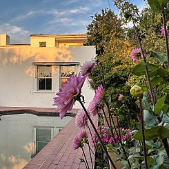Penelope's Stellenbosch