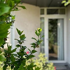 Vakantiehuisje in Malle