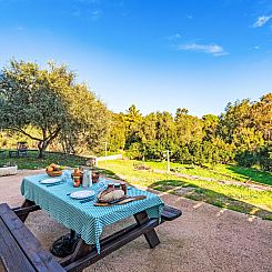 Appartement T2 Gabriello