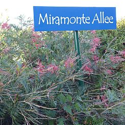 Vakantiehuis Villa Miramonte