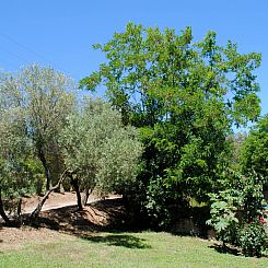Vakantiehuis Villa Belle Vue, direkt am Meer, 1-2 Haustiere 