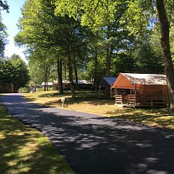 Freeflower Standaard