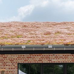 Vakantiehuisje in Geel