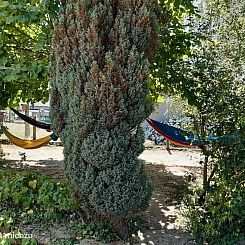 Le Petit Paradis