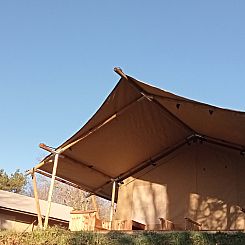 Safaritent