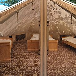 «Sybley Apex tent»