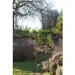 Le Chêne