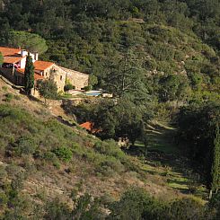 Vakantiehuis mit privatem Pool in üppiger Umgebung