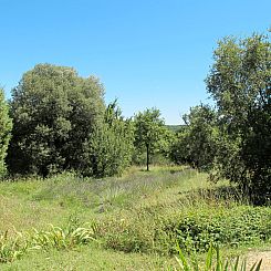 Vakantiehuis Le Moulin de Verfeuil