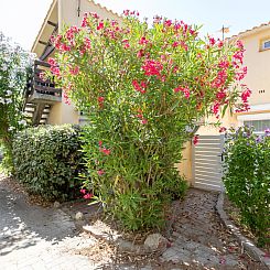 Appartement Les Cabestans 1,2,3
